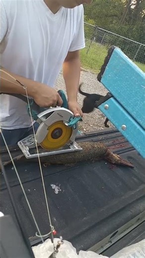 Iron man suit-ஐ விட Strong ஆ? Alligator Skin! #shorts