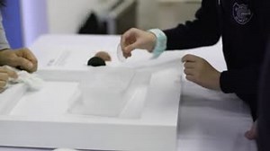 177K views · 388 reactions | This week, we kicked off the latest...