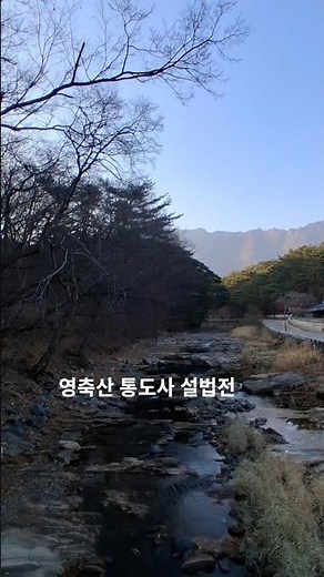 성불하세요 영축산 통도사 설법전 금강경 독송 영인스님