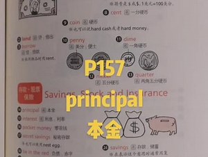 P157，principal 本金 #老外每天在用的生活词汇 #北语社 #口语单词 #实用英语 #英语口语 #美语 #日常英语 #每天进步一点 #口语词汇 #图解单词 #生活英语 #英语单词 #每日英语 #英语听力 #每日一句 #英语每天一分钟 #每日学习打卡 #日常口语