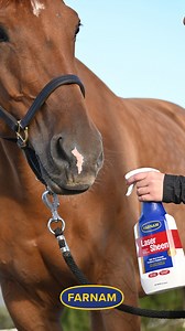 Some people want to be in the loop… we just want to be back at the barn with our horses. 🐴 | Farnam Horse