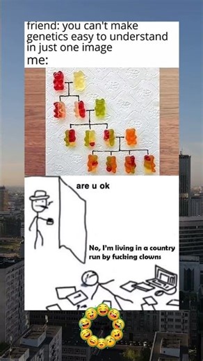 You can't make genetics easy to understand in just one #drole #humour #funny #memes #viralshort