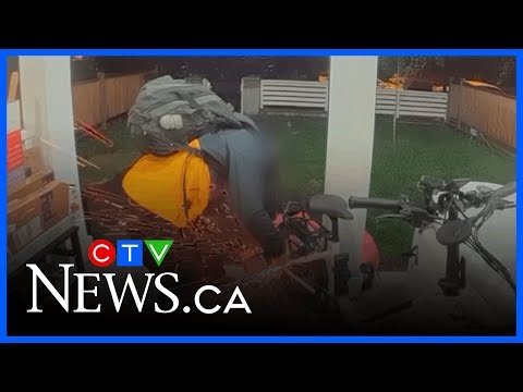 Brazen bike thefts caught on camera in East Vancouver