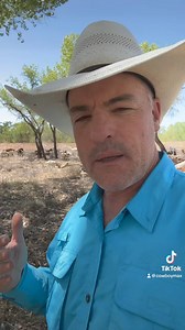 115K views · 3.2K reactions | So many variables to consider. #goats #goatscaping #goatgrazing #grazinggoats #contractgrazing #contractgoatgrazing #targetedgrazing #targetedgoatgrazing #grazingsystems #prescibedgrazing #prescribedgoatgrazing #systemsgrazing #rentagoat #yardmaintenance #weedremoval #firefuelreduction #brushremoval #thegoatguy #goatguy #newmexico #bosque #newmexico #cowboymax | Galloping Goat Pumpkin Patch | Facebook