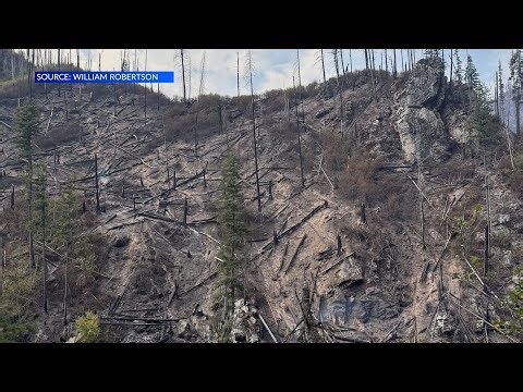 Alabama Forestry firefighter helps battle Idaho fires