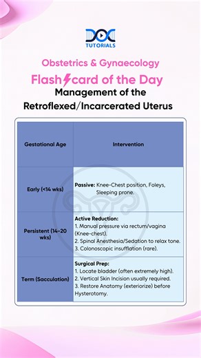 ObGyn with DocTutorials | 🩺 OBGYN Flashcard of the Day Retroflexed / Incarcerated Uterus — rare but critical to recognize. Early pregnancy? Think passive... | Instagram