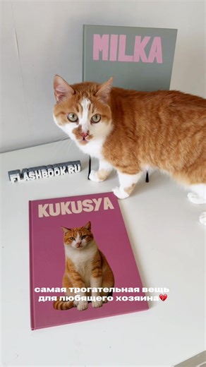 🐾Фотокниги FLASHBOOK - моменты с вашими любимых лапками! Мы собираем трогательные моменты вашего хвостатого друга в стильную фотокнигу - где каждая страница наполнена любовью🤍 Форматы фотокниг✨ S - 20-35 фото М - 40-65 фото Оформить заказ и задать любые вопросы можно в нашем Telegram по ссылке в профиле🐈‍⬛ #воспоминания #коллекция #собака #кот #питомцы