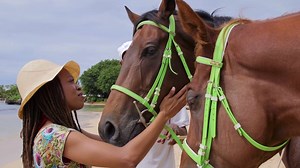 56K views · 406 reactions | Mauritius offers a selection of sports activities covering sea, air and land excursions for everyone. #MyMauritiusMyExperience | Mauritius Tourism | Facebook