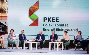 W tym roku problem smogu może być mniejszy