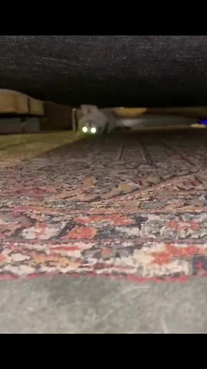 cute little ghost 😂 | Kitty 1st