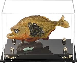 Better Display Cases Versatile Clear Acrylic Display Case - Small Rectangle Box with Gold Risers 9.5" x 6" x 6.5" (A005-GR)