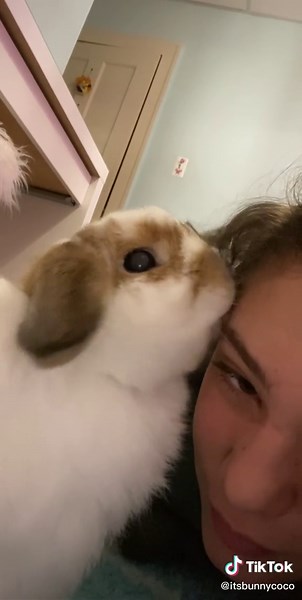 Relaxing Bunny ASMR Pet Routine