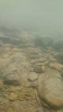 vivo t4 5g water resistant testing