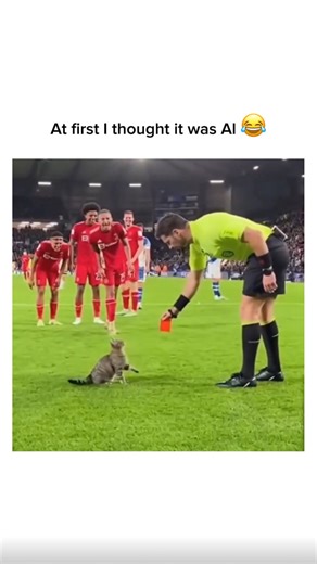 DAILY KICKZ FOOTBALL on Instagram: "@bcgamesports Al videos are slowly ruining the charm of real entertainment. The internet is now flooded with fake Al-generated clips, making it harder for people to distinguish between what’s real and what’s artificial. From football highlights to sports interviews, many creators are using Al to produce hyper-realistic but misleading videos that spread rapidly online. These Al-made sports clips often show fake goals, celebrations, interviews, or celebrity acti