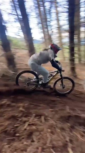 Shredding the Forest Trails! 🌲🚵‍♂️ (MTB Action)