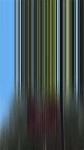 Campus was buzzing with Welcome Week activities! 🎉 | Mitchell Community College