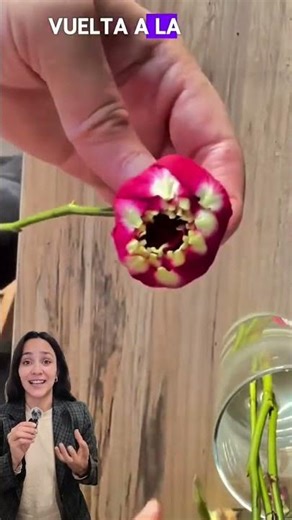 🌹 Tips for Reviving Cut Roses #crafts