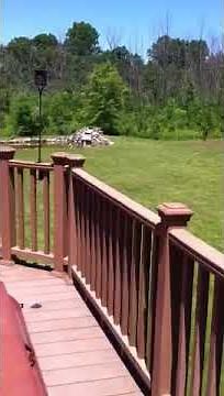 Real vampire caught on tape