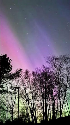 How Did You Love,Shinedown,#song #new #fe #genshinimpact #asmr