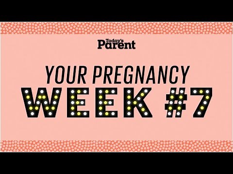 Your pregnancy: 7 weeks