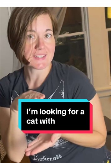 Black Cat in Finance: A Creative Throwback