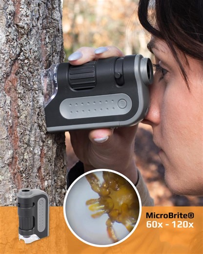 Get a closer look! 🔬 The MicroBrite Plus® is your guide into the microscopic world! Zoom in & start exploring today! ⭐️ 🛒 https://loom.ly/dCfUln8 #Microscope #Microscopy #STEM #Pathology #STEMEducation | Carson Optical
