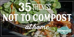 35 Examples of what not to put in compost
