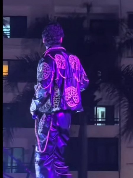 Exploring the Charly Flow Effect in Trending Music