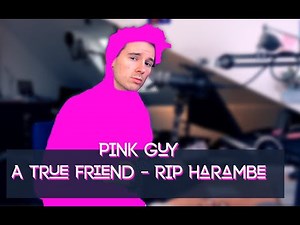 Pink Guy - A TRUE FRIEND -- RIP HARAMBE (TRIBUTE SONG) Joji - Ukulele Cover