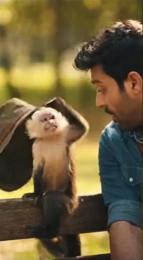 The Great Hat Heist: A Monkey's Comedic Adventure