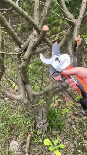 ✂️ Powerful Electric Pruning Shears | Cut Thick Tree Branches in Seconds 🌳⚡