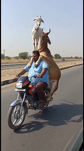 12K views · 142 reactions | Bhai ye kon sa technology hai  | Satish ai vlog | Facebook