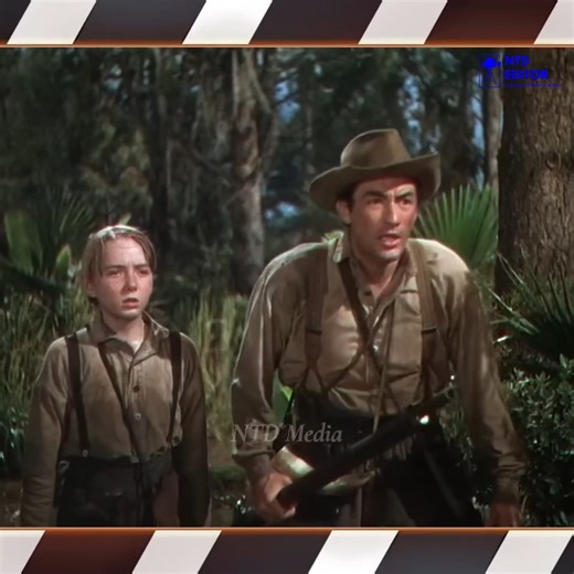 The Yearling (1946) | Morell Credit Union Ltd