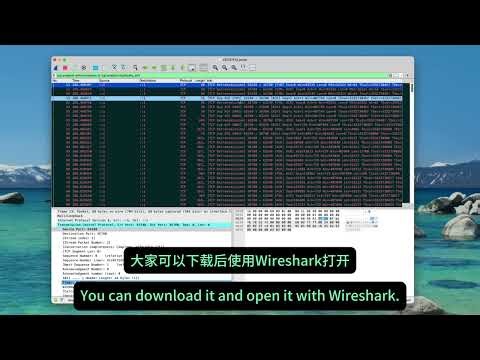理解Wireshark中显示的TCP重传，TCP重传示例(TCP Retransmission Example)