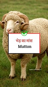 Different types of meat 🐃🐄🐐 Follow english vocabulary 2.0 #fbreelsfypシ゚viralシ #fbreels #fbreelsfypシ゚ #learnenglish #beef #animals #mutton #chicken #meat #speakenglish | English vocabulary 2.0