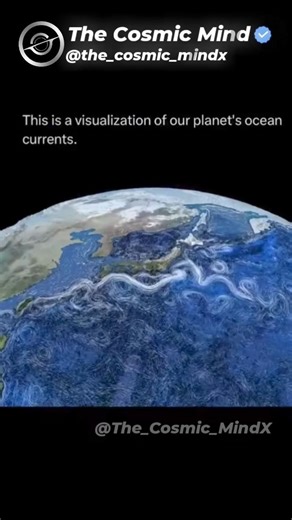 Earth’s Hidden Ocean Currents 🌊 A Powerful Visualization of Our Planet in Motion