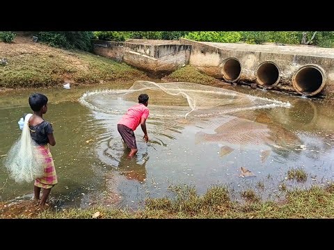 Fishing Net Video // 🐟 Unbelievable Cast Net Fishing- Village woow amazing million Video#fishing