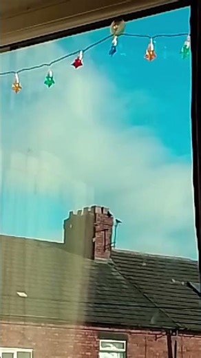 good morning blue sky birds 🐦 out window view 🪟