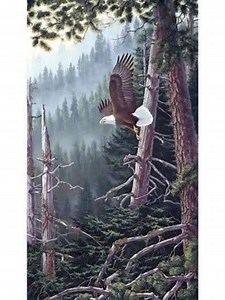 3.5K views · 105 reactions | Shop NEW fabric now:...