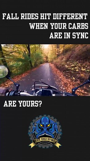Crisp air. Clean carbs. Perfect throttle response.  A quick carb sync with The DigiSync keeps your bike running like the season intended—smooth, balanced, effortless. #DigiSync #CarbSync #MotorcycleMaintenance #MotoLife #FallRiding #SmoothRide #MotorcycleTech #WrenchLife #RideMoreWrenchLess #MotorcycleGear #FallRide #throttletherapy | The Digi Sync - Digital Throttle Body & Carb Sync Tools | Facebook