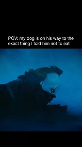 Every time 🤦‍♂️ #moovies #it #dogowners | Moovies
