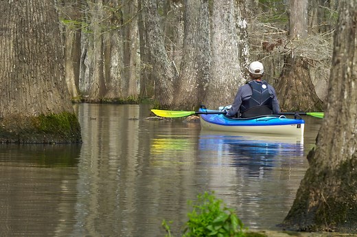 Chicot State Park beautiful canoe trails | The Heart of Louisiana