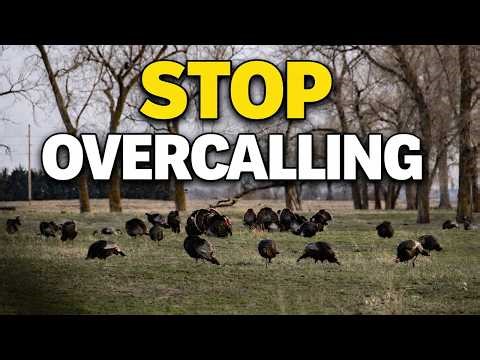 Turkey Hunting 101: 3 Proven Tips for More Successful Hunts