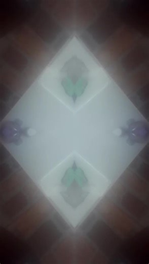 brah meme on TikTok