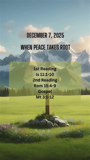 Today's Catholic Mass Reading and Gospel Reflection