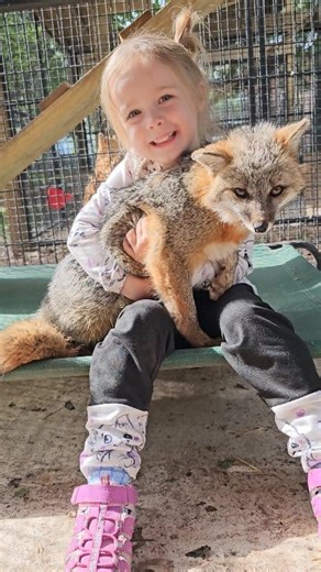 FIVE foxes rescued since Sunday thanks to you! We already raised enough to get the fox out that we posted earlier today! Imagine if we raised enough to get two out a day! That would be amazing! Lets see if we can get enough donations for this next boy to get out! Donate to get him out! ⭐⭐MUST READ⭐⭐ 🦊🦊🦊We raised enough to get Sunday, Monday, Tuesday, Wednesday, and today's first posted fox out! Can we raise enough to get today's SECOND Thursday fox posted out!? We need to raise $800 on this p