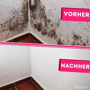 Eine bewährte Methode, um Ihre Wände in wenigen Minuten von Schimmel zu befreien. Vielen Dank an Luis Monagas für das fantastische Video: https://www.youtube.com/channel/UCmcIlhfA8wMTdtC7QuYwVnw | Fabiosa Deutschland