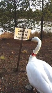 There has never been a more accurate sign... 😂😂 Credit: JukinVideo | The Epoch Times Canada