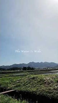 本日のカバーソング🎤【The Water Is Wide/スコットランド民謡】
