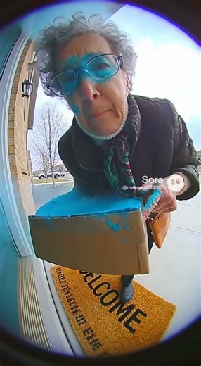 Package Thief Gets a Colorful Surprise!